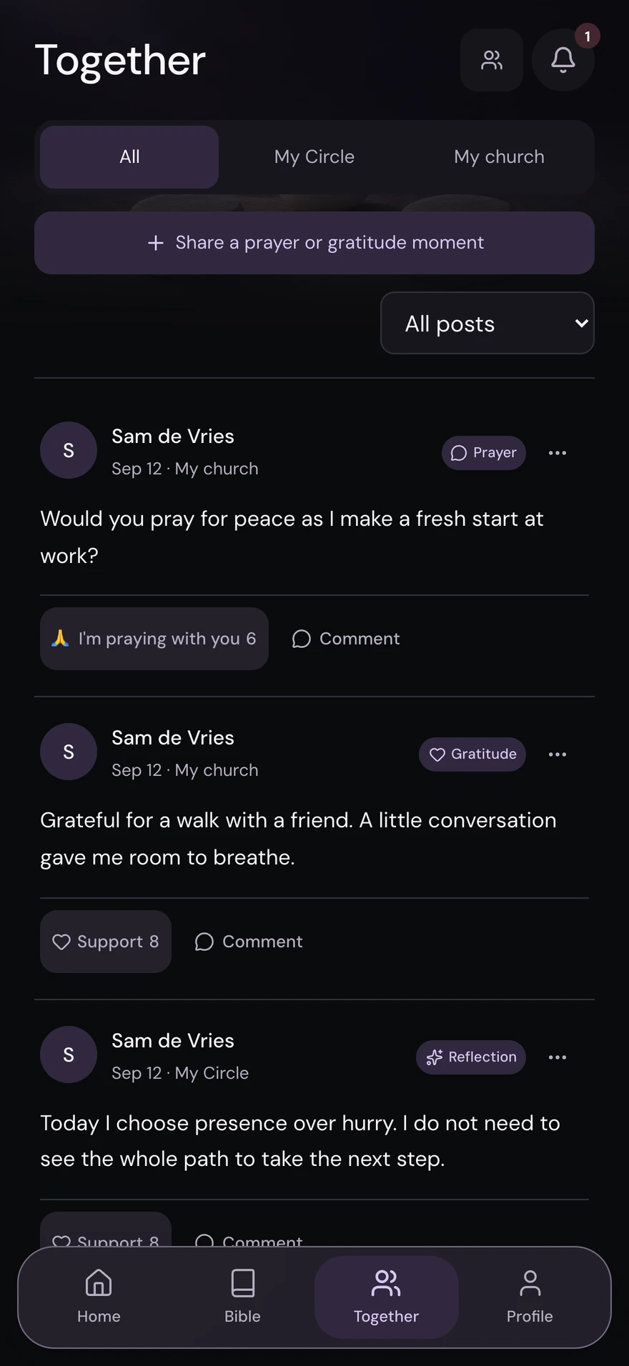 SoulBuddy — Together, dark mode with fictional sample content